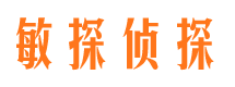 茄子河敏探私家侦探公司